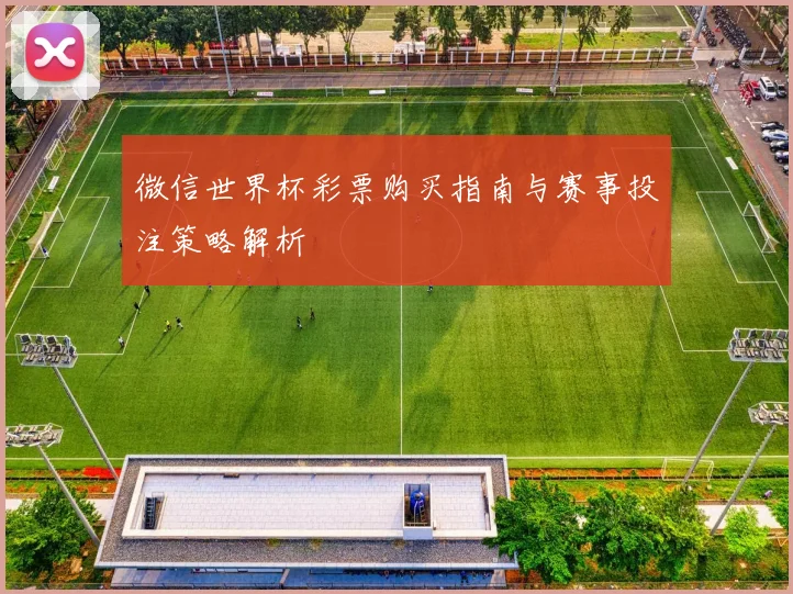 微信世界杯彩票购买指南与赛事投注策略解析