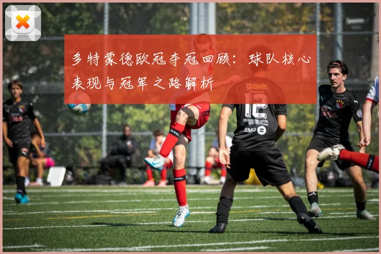 多特蒙德欧冠夺冠回顾：球队核心表现与冠军之路解析
