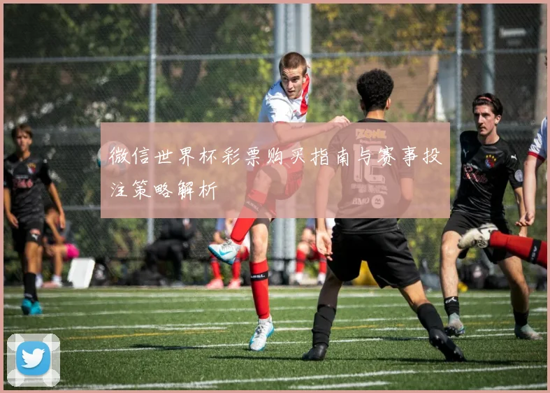 微信世界杯彩票购买指南与赛事投注策略解析