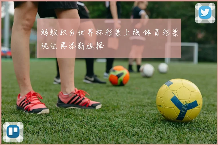 蚂蚁积分世界杯彩票上线 体育彩票玩法再添新选择