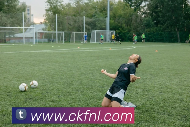 App Interface Preview