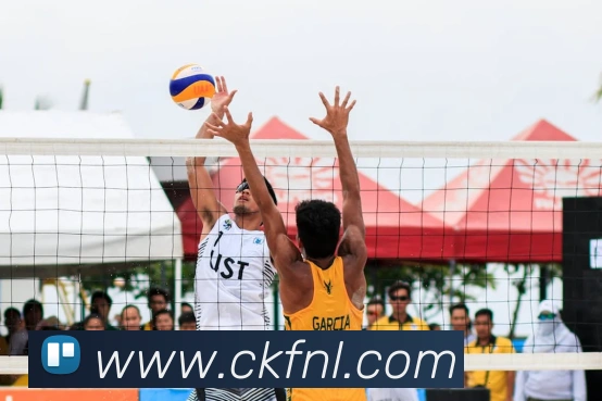 大阳城手机版官方网站APP 封面图